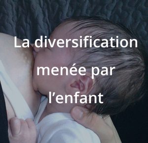 La diversification menée par l'enfant, formation à l’allaitement maternel 