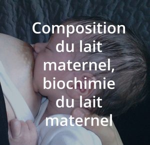 Formation à l’allaitement maternel, composition du lait maternel, biochimie de lait maternel