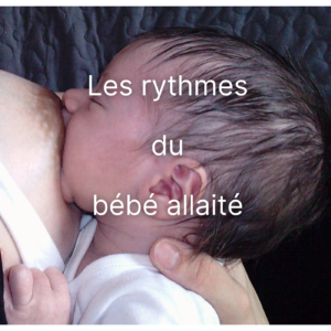 Les rythmes du bébé allaité