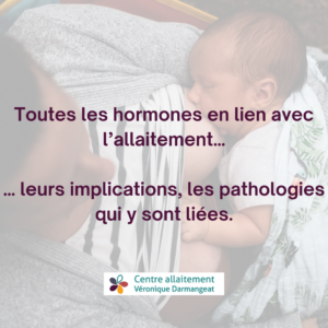 hormones allaitement